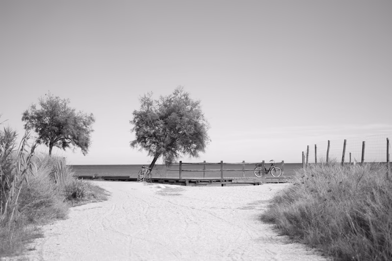 plaża