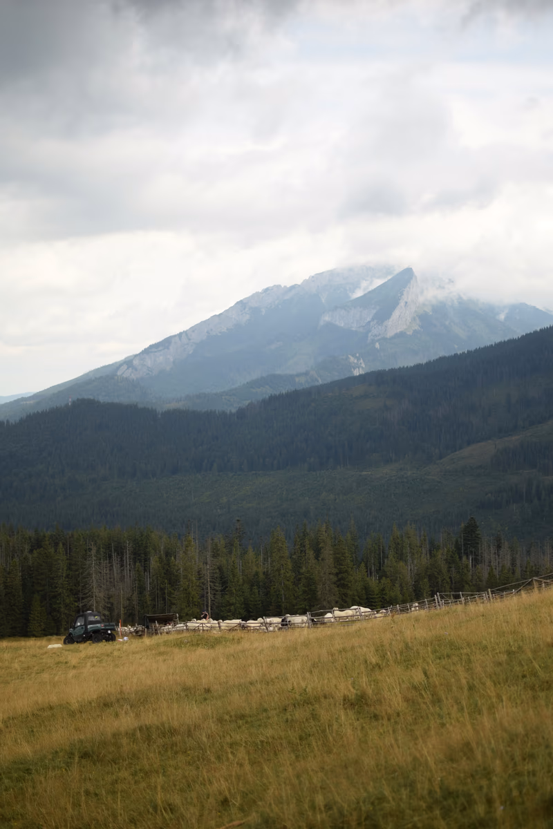 Tatry