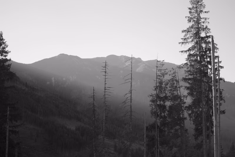 Tatry