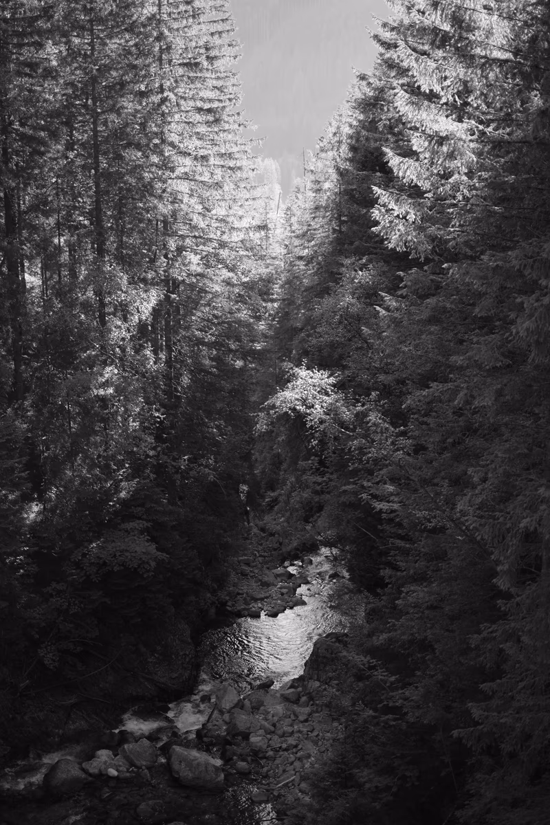 Tatry