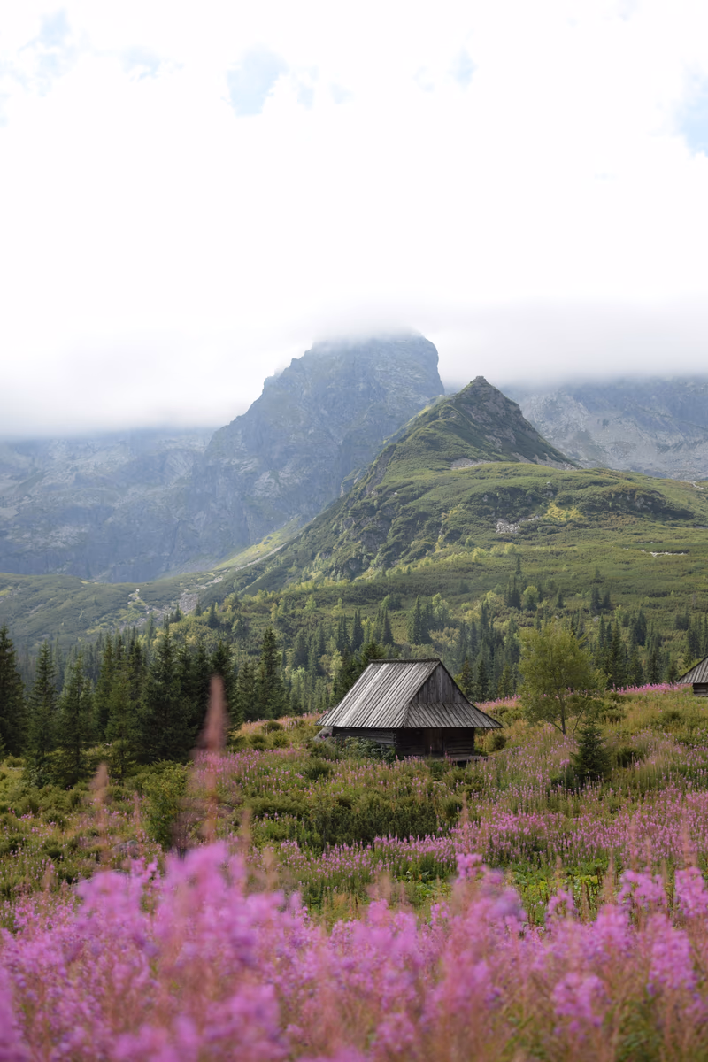 Tatry